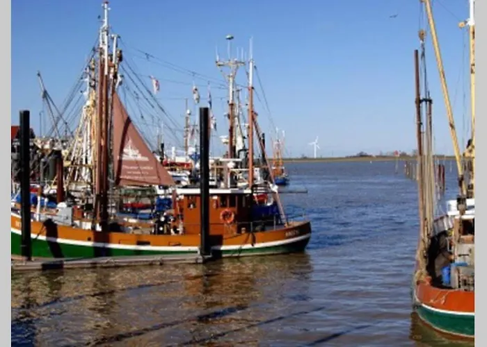 Haus Schwalbennest Eg דיצום